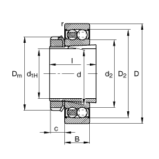 ���{(di��o)�����S�� 2209-K-2RS-TVH-C3 + H309, ����(j��) DIN 630 �� DIN 5415 ��(bi��o)��(zh��n)����Ҫ�ߴ�, ���F�׺;o���ף��ɂ�(c��)���ܷ�