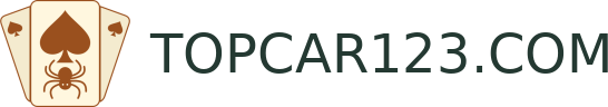 TOPCAR123.COM
